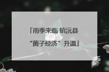 雨季来临 镇沅县“菌子经济”升温