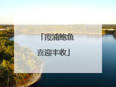 霞浦鲍鱼喜迎丰收