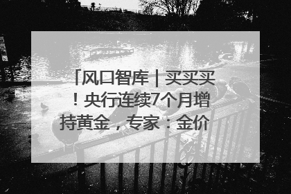 风口智库｜买买买！央行连续7个月增持黄金，专家：金价或仍易涨难跌