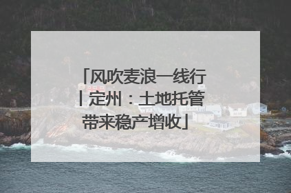 风吹麦浪一线行丨定州：土地托管带来稳产增收