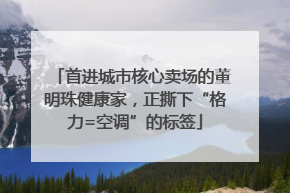 首进城市核心卖场的董明珠健康家，正撕下“格力=空调”的标签