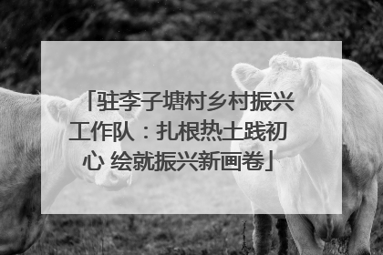 驻李子塘村乡村振兴工作队：扎根热土践初心 绘就振兴新画卷