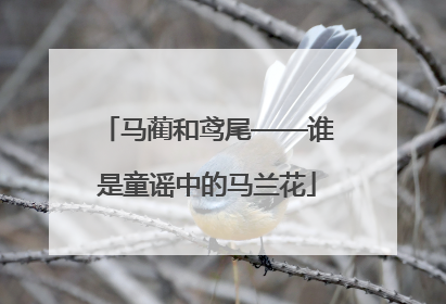 马蔺和鸢尾——谁是童谣中的马兰花