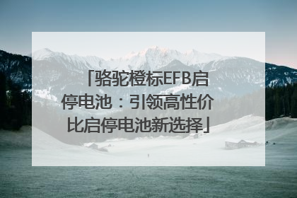 骆驼橙标EFB启停电池：引领高性价比启停电池新选择