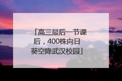 高三最后一节课后，400株向日葵空降武汉校园