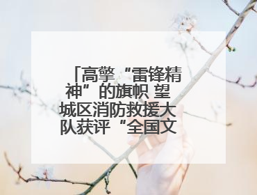 高擎“雷锋精神”的旗帜 望城区消防救援大队获评“全国文明单位”称号