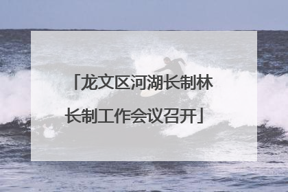 龙文区河湖长制林长制工作会议召开