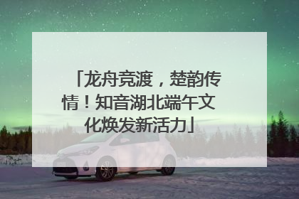 龙舟竞渡，楚韵传情！知音湖北端午文化焕发新活力