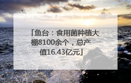 鱼台：食用菌种植大棚8100余个，总产值16.43亿元