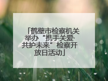 鹤壁市检察机关举办“携手关爱·共护未来”检察开放日活动
