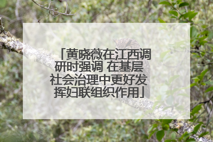 黄晓薇在江西调研时强调 在基层社会治理中更好发挥妇联组织作用
