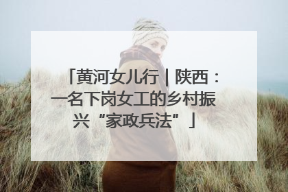 黄河女儿行｜陕西：一名下岗女工的乡村振兴“家政兵法”