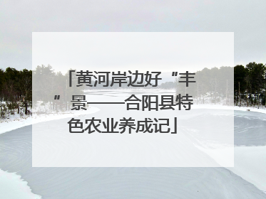 黄河岸边好“丰”景——合阳县特色农业养成记