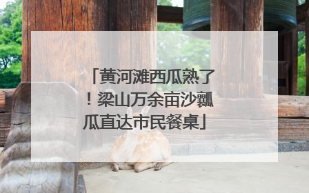 黄河滩西瓜熟了！梁山万余亩沙瓤瓜直达市民餐桌