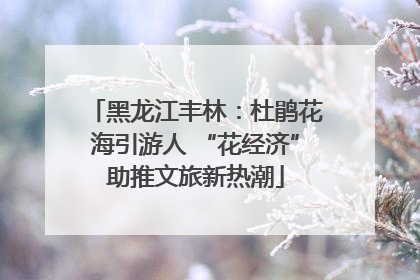 黑龙江丰林：杜鹃花海引游人 “花经济”助推文旅新热潮