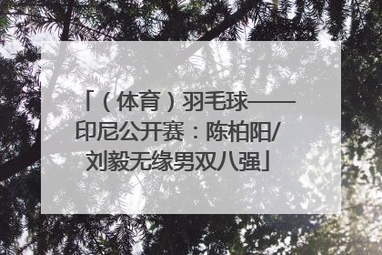 （体育）羽毛球——印尼公开赛：陈柏阳/刘毅无缘男双八强