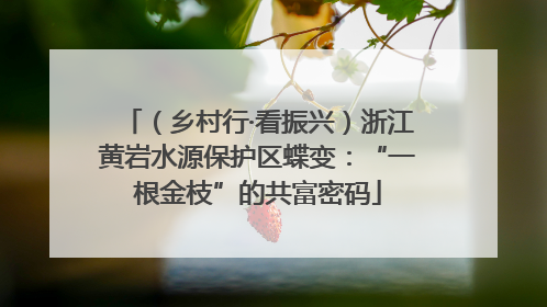 （乡村行·看振兴）浙江黄岩水源保护区蝶变：“一根金枝”的共富密码