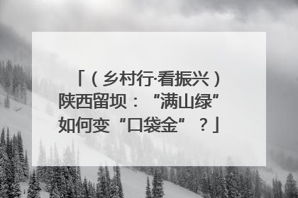 （乡村行·看振兴）陕西留坝：“满山绿”如何变“口袋金”？
