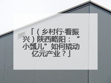 （乡村行·看振兴）陕西略阳：“小瓢儿”如何撬动亿元产业？