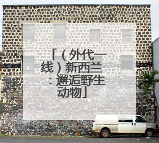 （外代一线）新西兰：邂逅野生动物