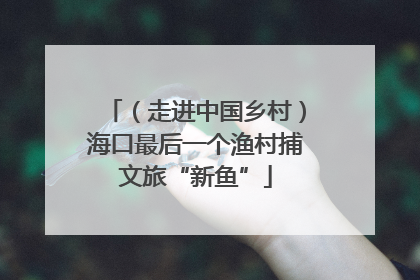 （走进中国乡村）海口最后一个渔村捕文旅“新鱼”