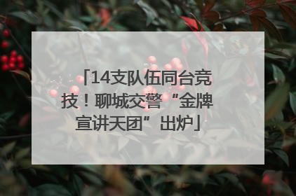 14支队伍同台竞技！聊城交警“金牌宣讲天团”出炉