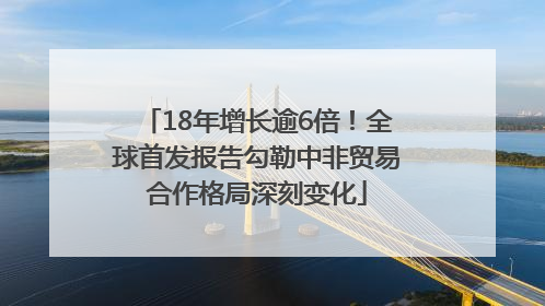 18年增长逾6倍！全球首发报告勾勒中非贸易合作格局深刻变化