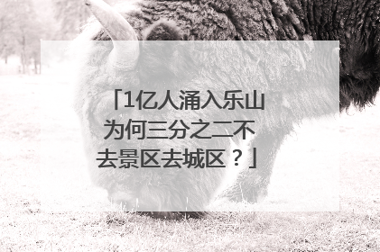 1亿人涌入乐山 为何三分之二不去景区去城区？