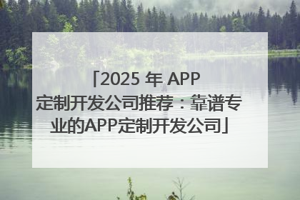 2025 年 APP 定制开发公司推荐：靠谱专业的APP定制开发公司