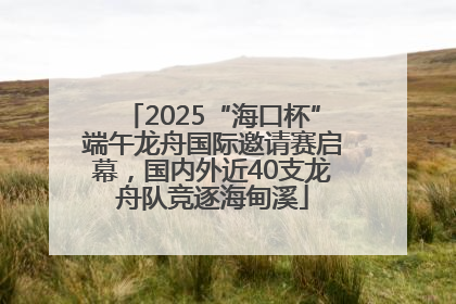 2025“海口杯”端午龙舟国际邀请赛启幕，国内外近40支龙舟队竞逐海甸溪