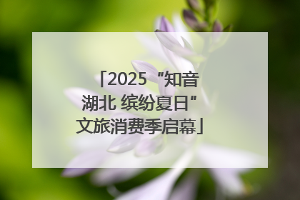 2025“知音湖北 缤纷夏日”文旅消费季启幕
