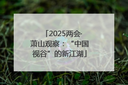 2025两会·萧山观察：“中国视谷”的新江湖