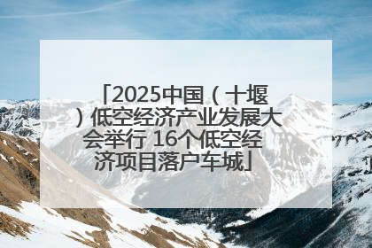 2025中国（十堰）低空经济产业发展大会举行 16个低空经济项目落户车城
