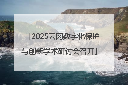 2025云冈数字化保护与创新学术研讨会召开