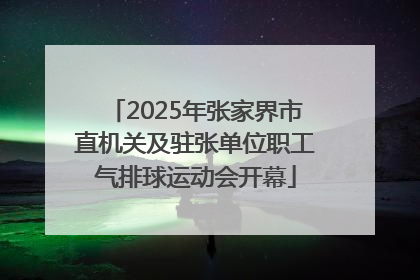 2025年张家界市直机关及驻张单位职工气排球运动会开幕