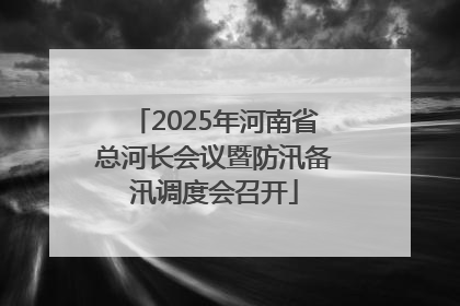 2025年河南省总河长会议暨防汛备汛调度会召开