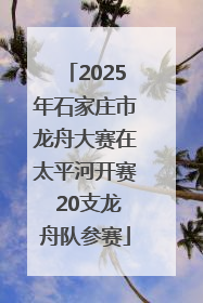 2025年石家庄市龙舟大赛在太平河开赛 20支龙舟队参赛