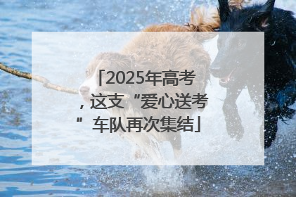 2025年高考，这支“爱心送考”车队再次集结