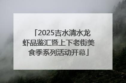 2025吉水清水龙虾品鉴汇暨上下老街美食季系列活动开幕