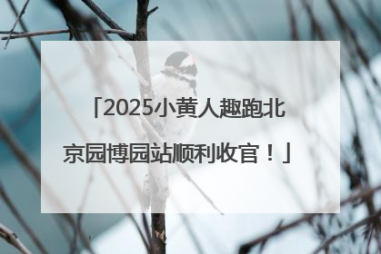 2025小黄人趣跑北京园博园站顺利收官！