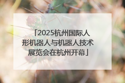 2025杭州国际人形机器人与机器人技术展览会在杭州开幕