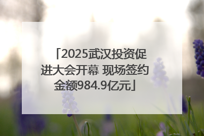 2025武汉投资促进大会开幕 现场签约金额984.9亿元