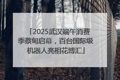 2025武汉端午消费季蔡甸启幕，百台国际级机器人亮相花博汇