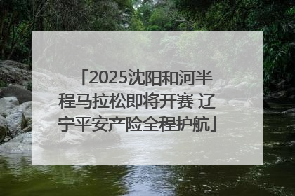 2025沈阳和河半程马拉松即将开赛 辽宁平安产险全程护航