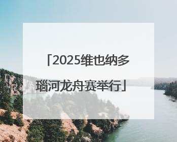 2025维也纳多瑙河龙舟赛举行