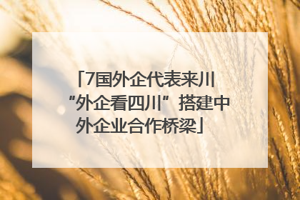 7国外企代表来川 “外企看四川”搭建中外企业合作桥梁