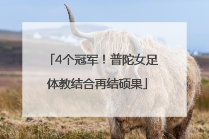 4个冠军！普陀女足体教结合再结硕果