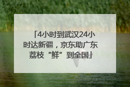4小时到武汉24小时达新疆，京东助广东荔枝“鲜”到全国