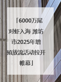 6000万尾对虾入海 潍坊市2025年增殖放流活动拉开帷幕