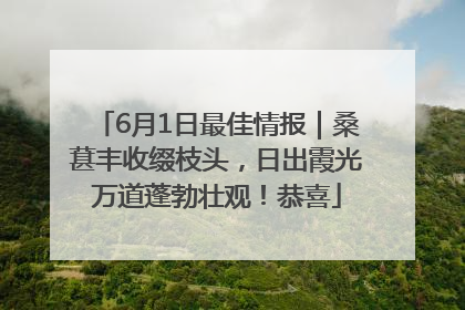 6月1日最佳情报｜桑葚丰收缀枝头，日出霞光万道蓬勃壮观！恭喜